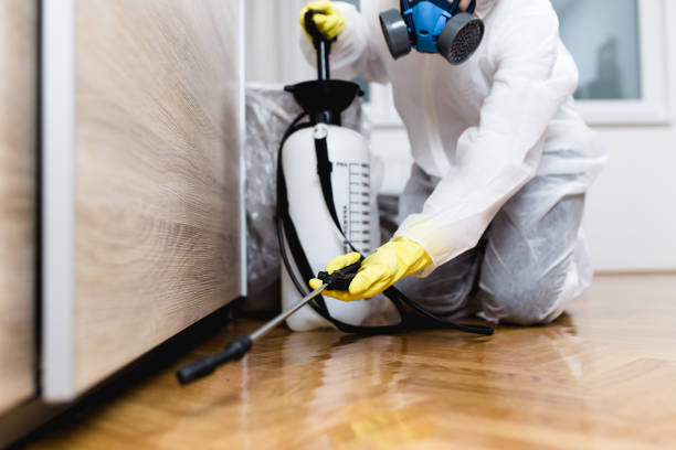 Best Best Pest Control Companies  in Tiptonville, TN