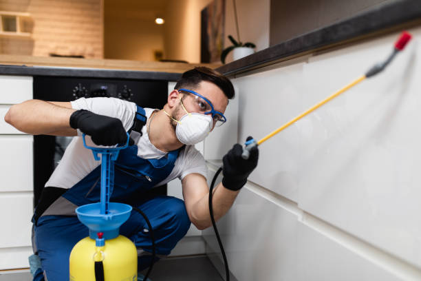 Best Pest Prevention Services  in Tiptonville, TN