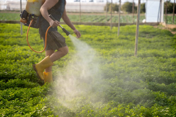 Best Pest Control Near Me  in Tiptonville, TN