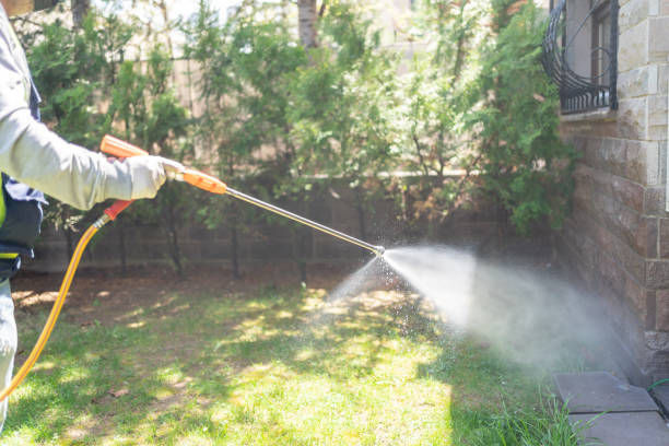 Pest Control Cost in Tiptonville, TN
