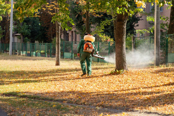 Wasp Removal Services in Tiptonville, TN