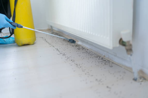 Best Cockroach Control Services  in Tiptonville, TN
