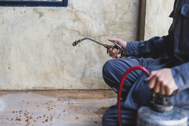 Best Affordable Pest Control Services  in Tiptonville, TN