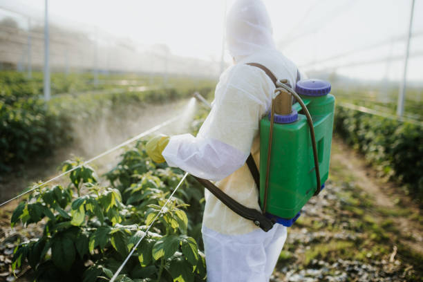 Professional Pest Control in Tiptonville, TN
